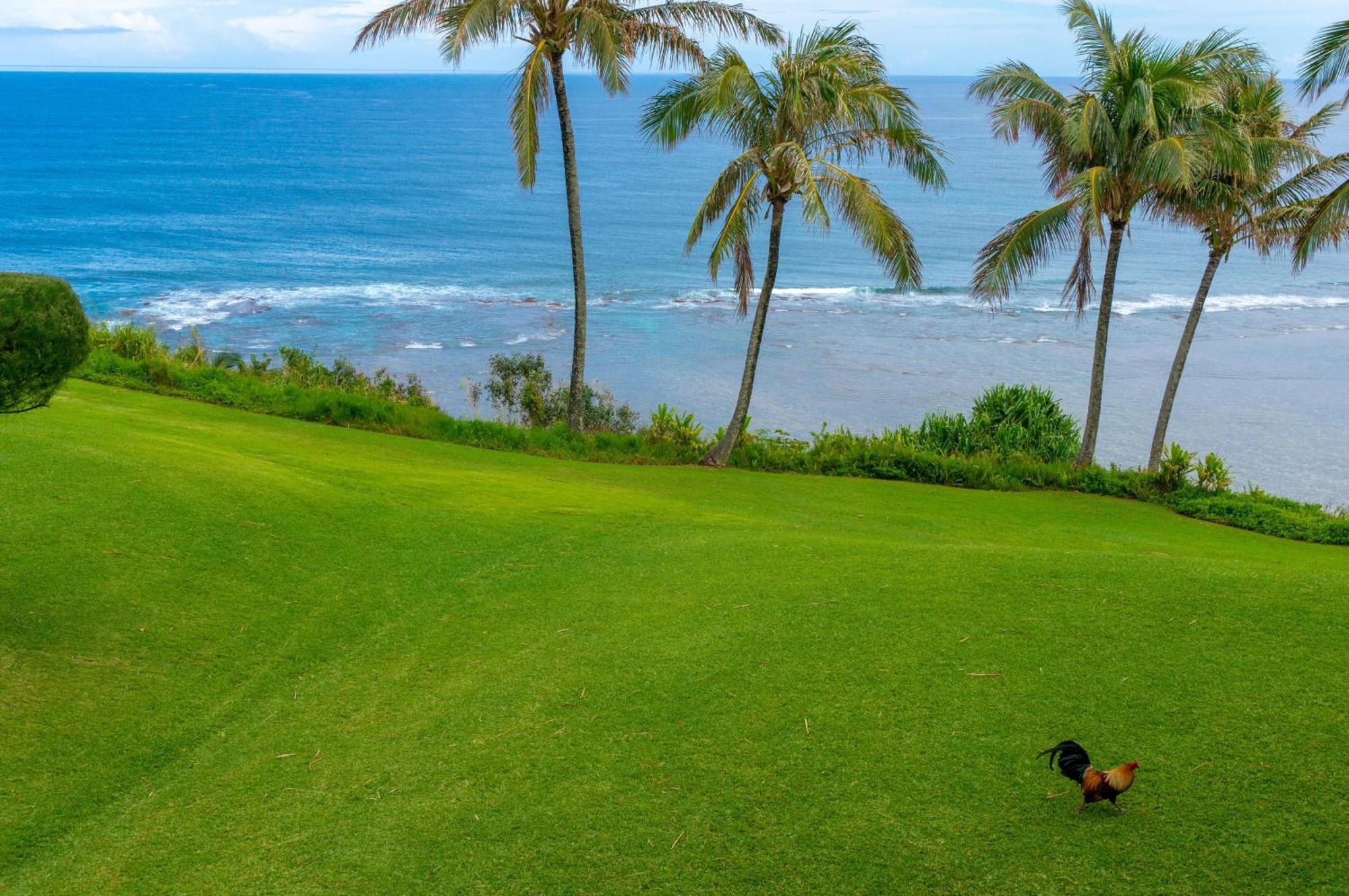 Sealodge J9 Princeville Esterno foto